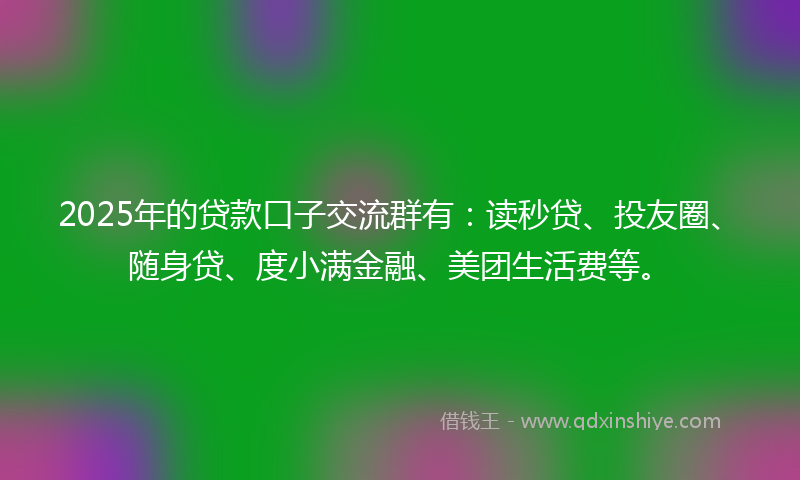 2025年的贷款口子交流群有：读秒贷、投友圈、随身贷、度小满金融、美团生活费等。