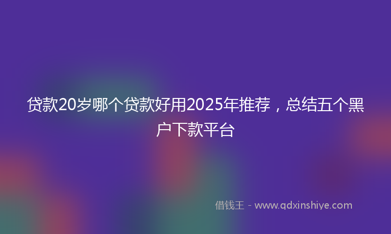 贷款20岁哪个贷款好用2025年推荐，总结五个黑户下款平台