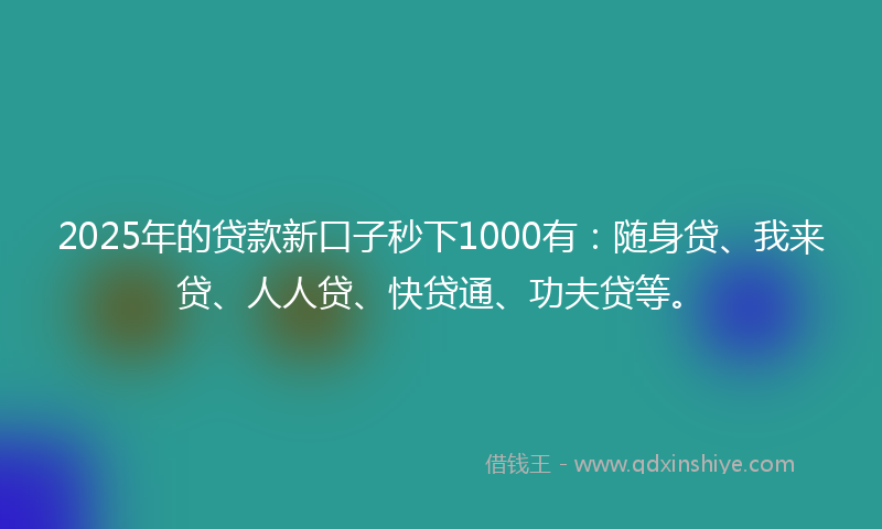 2025年的贷款新口子秒下1000有：随身贷、我来贷、人人贷、快贷通、功夫贷等。