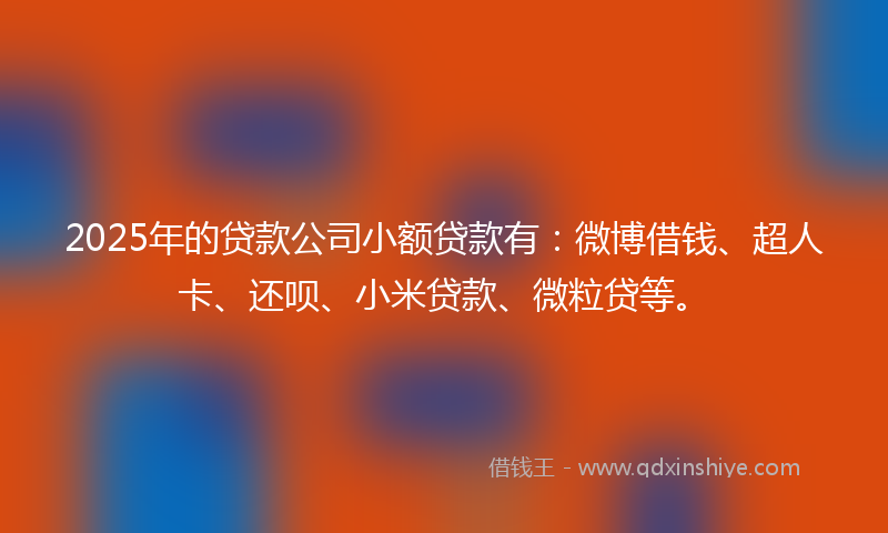 2025年的贷款公司小额贷款有：微博借钱、超人卡、还呗、小米贷款、微粒贷等。