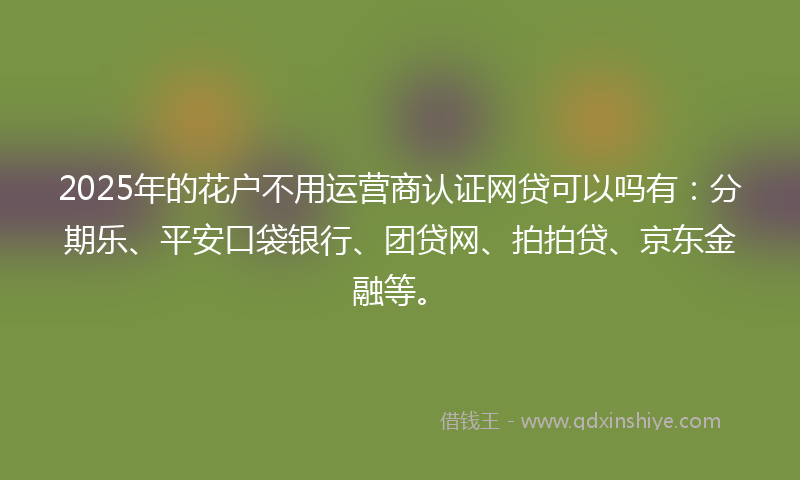 2025年的花户不用运营商认证网贷可以吗有：分期乐、平安口袋银行、团贷网、拍拍贷、京东金融等。