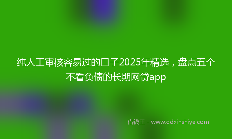 纯人工审核容易过的口子2025年精选，盘点五个不看负债的长期网贷app
