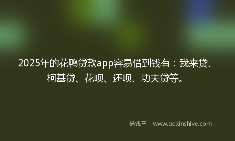 2025年的花鸭贷款app容易借到钱有：我来贷、柯基贷、花呗、还呗、功夫贷等。