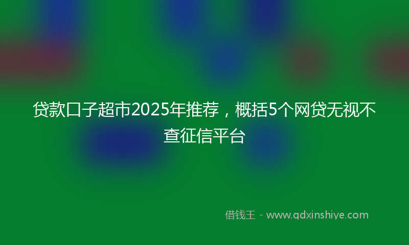 贷款口子超市2025年推荐，概括5个网贷无视不查征信平台