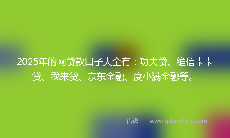 2025年的网贷款口子大全有：功夫贷、维信卡卡贷、我来贷、京东金融、度小满金融等。