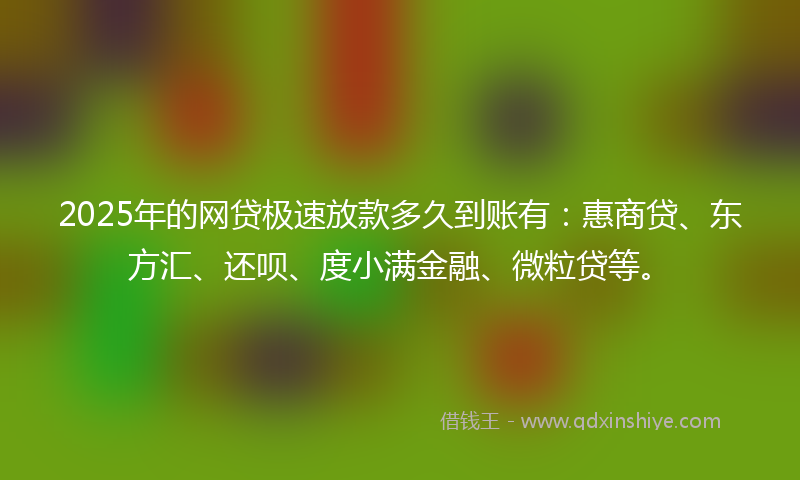 2025年的网贷极速放款多久到账有：惠商贷、东方汇、还呗、度小满金融、微粒贷等。