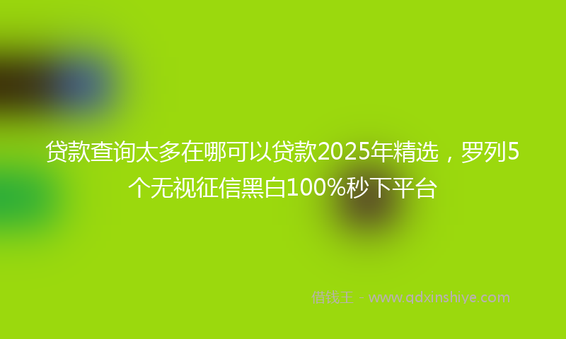 贷款查询太多在哪可以贷款2025年精选，罗列5个无视征信黑白100%秒下平台