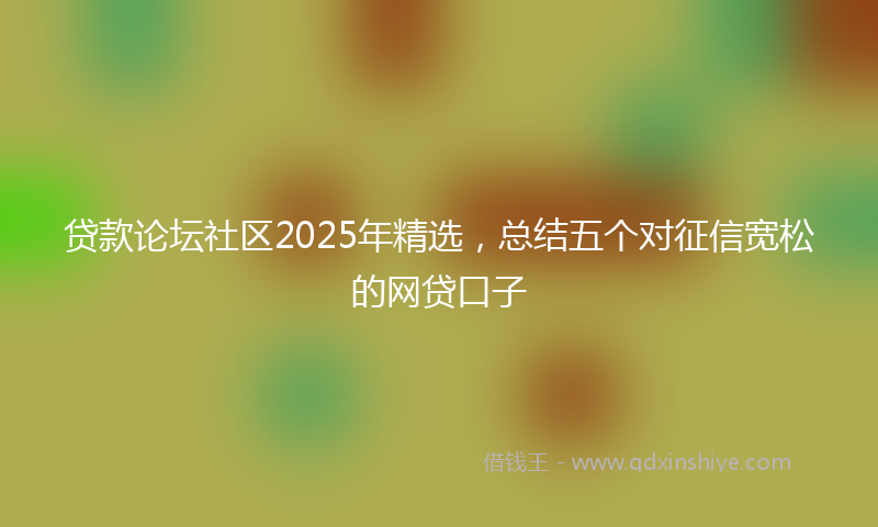 贷款论坛社区2025年精选，总结五个对征信宽松的网贷口子