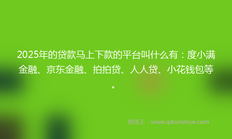 2025年的贷款马上下款的平台叫什么有：度小满金融、京东金融、拍拍贷、人人贷、小花钱包等。
