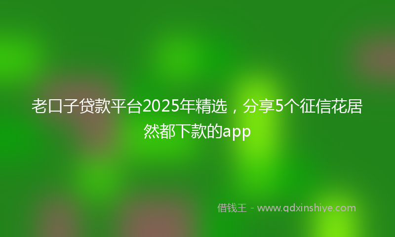 老口子贷款平台2025年精选，分享5个征信花居然都下款的app