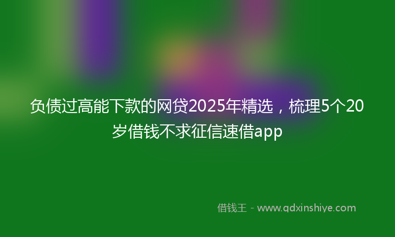负债过高能下款的网贷2025年精选，梳理5个20岁借钱不求征信速借app