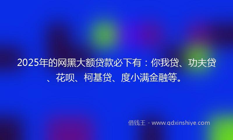 2025年的网黑大额贷款必下有：你我贷、功夫贷、花呗、柯基贷、度小满金融等。