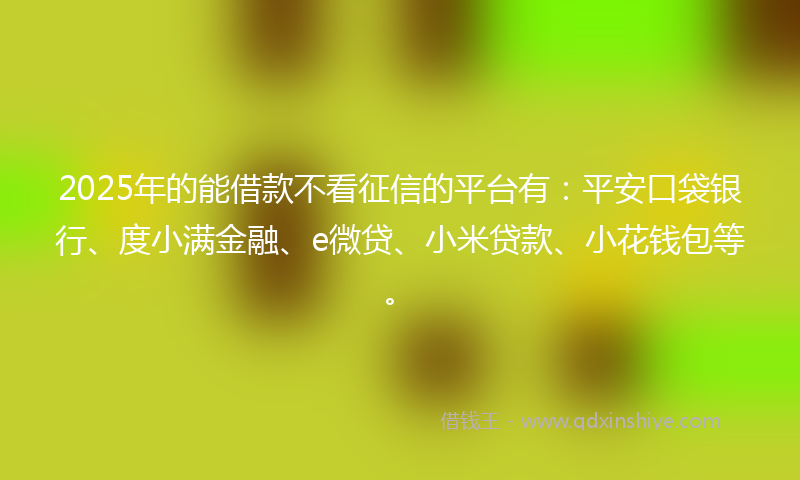 2025年的能借款不看征信的平台有：平安口袋银行、度小满金融、e微贷、小米贷款、小花钱包等。