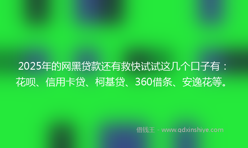 2025年的网黑贷款还有救快试试这几个口子有：花呗、信用卡贷、柯基贷、360借条、安逸花等。