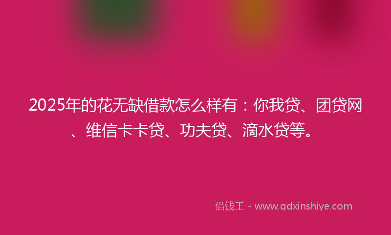 2025年的花无缺借款怎么样有：你我贷、团贷网、维信卡卡贷、功夫贷、滴水贷等。