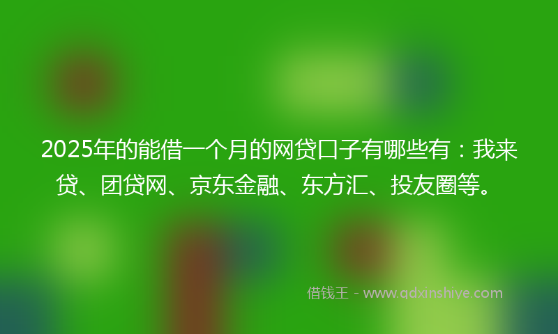 2025年的能借一个月的网贷口子有哪些有：我来贷、团贷网、京东金融、东方汇、投友圈等。