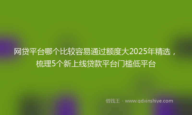 网贷平台哪个比较容易通过额度大2025年精选，梳理5个新上线贷款平台门槛低平台