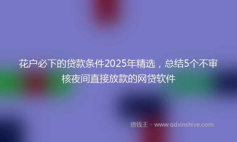花户必下的贷款条件2025年精选,总结5个不审核夜间直接放款的网贷软件