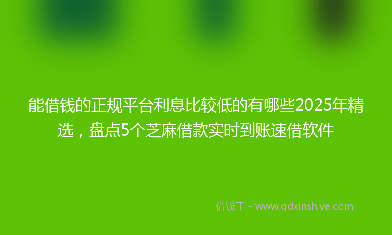 能借钱的正规平台利息比较低的有哪些2025年精选，盘点5个芝麻借款实时到账速借软件