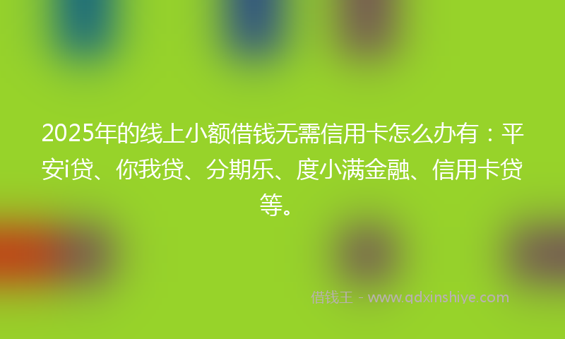 2025年的线上小额借钱无需信用卡怎么办有：平安i贷、你我贷、分期乐、度小满金融、信用卡贷等。