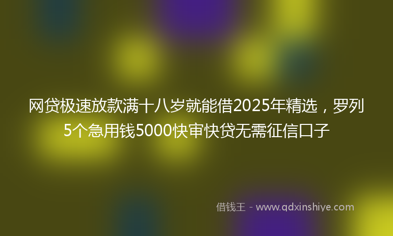 网贷极速放款满十八岁就能借2025年精选，罗列5个急用钱5000快审快贷无需征信口子