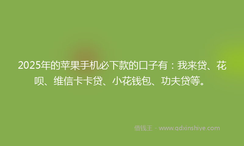 2025年的苹果手机必下款的口子有：我来贷、花呗、维信卡卡贷、小花钱包、功夫贷等。