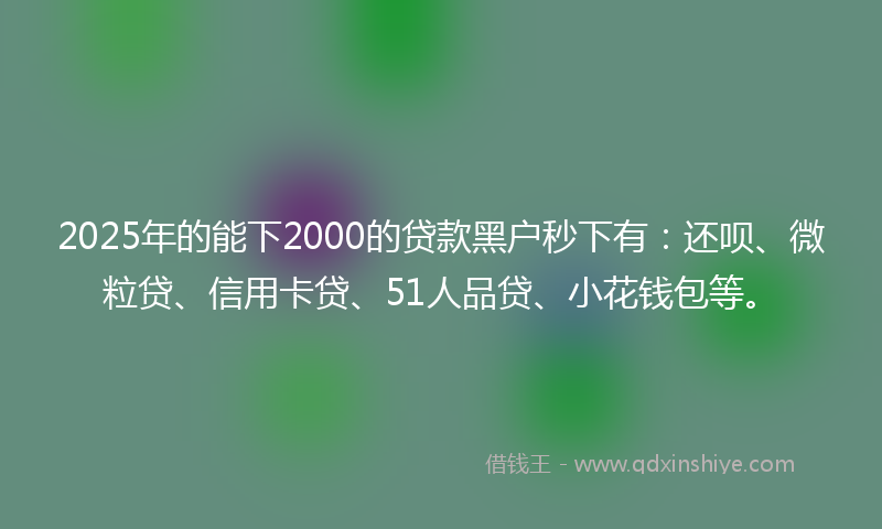 2025年的能下2000的贷款黑户秒下有：还呗、微粒贷、信用卡贷、51人品贷、小花钱包等。