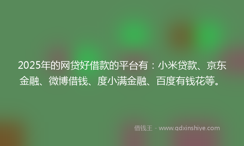 2025年的网贷好借款的平台有：小米贷款、京东金融、微博借钱、度小满金融、百度有钱花等。