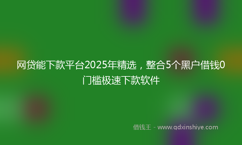 网贷能下款平台2025年精选，整合5个黑户借钱0门槛极速下款软件