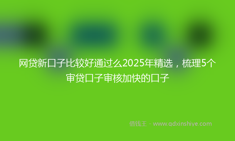 网贷新口子比较好通过么2025年精选，梳理5个审贷口子审核加快的口子
