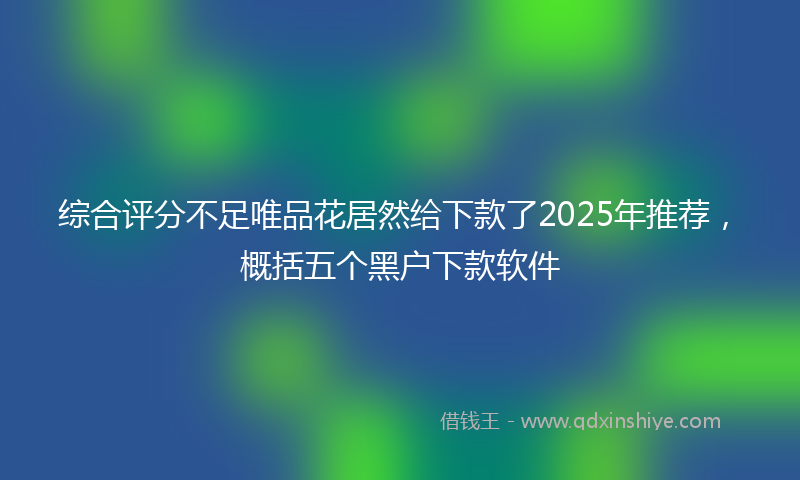 综合评分不足唯品花居然给下款了2025年推荐，概括五个黑户下款软件