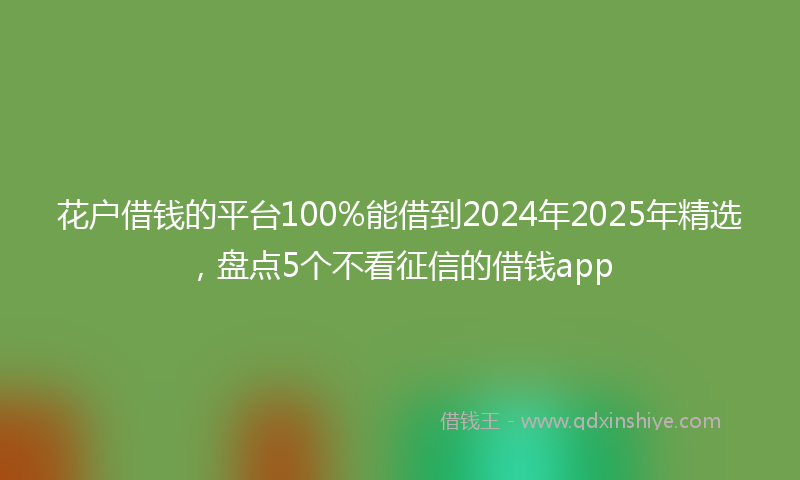 花户借钱的平台100%能借到2024年2025年精选，盘点5个不看征信的借钱app