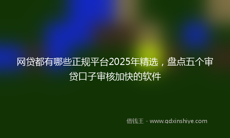 网贷都有哪些正规平台2025年精选，盘点五个审贷口子审核加快的软件