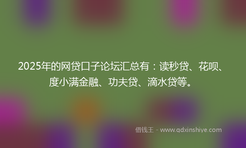2025年的网贷口子论坛汇总有：读秒贷、花呗、度小满金融、功夫贷、滴水贷等。