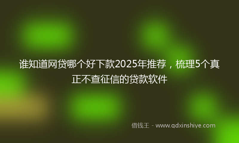 谁知道网贷哪个好下款2025年推荐，梳理5个真正不查征信的贷款软件