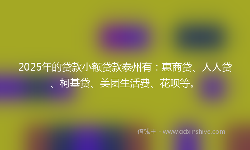 2025年的贷款小额贷款泰州有：惠商贷、人人贷、柯基贷、美团生活费、花呗等。