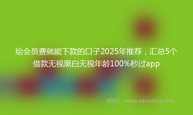 给会员费就能下款的口子2025年推荐，汇总5个借款无视黑白无视年龄100%秒过app