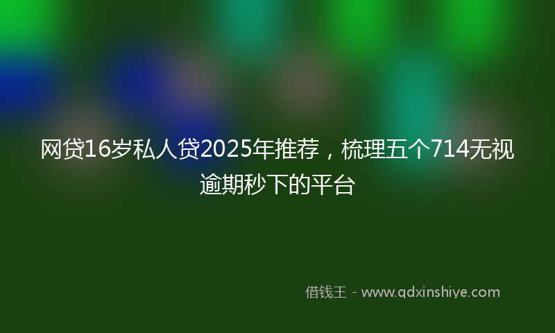 网贷16岁私人贷2025年推荐，梳理五个714无视逾期秒下的平台