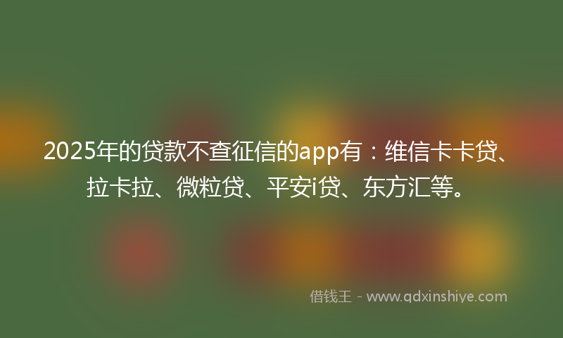 2025年的贷款不查征信的app有：维信卡卡贷、拉卡拉、微粒贷、平安i贷、东方汇等。