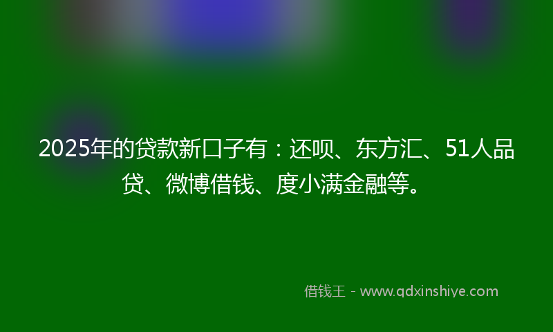 2025年的贷款新口子有：还呗、东方汇、51人品贷、微博借钱、度小满金融等。
