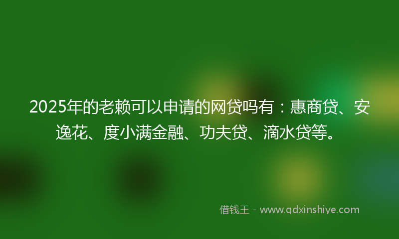 2025年的老赖可以申请的网贷吗有：惠商贷、安逸花、度小满金融、功夫贷、滴水贷等。