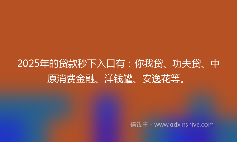 2025年的贷款秒下入口有：你我贷、功夫贷、中原消费金融、洋钱罐、安逸花等。