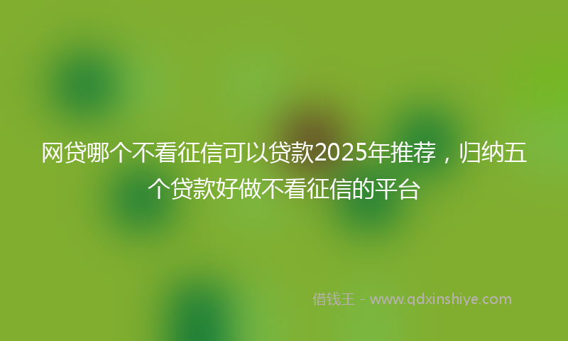 网贷哪个不看征信可以贷款2025年推荐，归纳五个贷款好做不看征信的平台