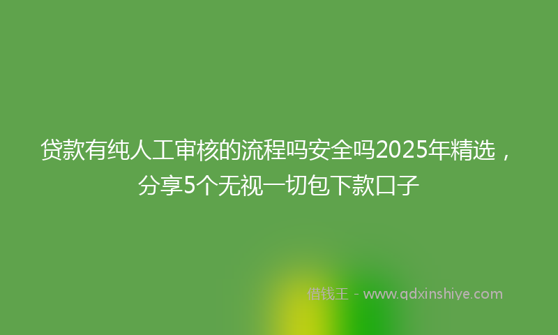 贷款有纯人工审核的流程吗安全吗2025年精选，分享5个无视一切包下款口子