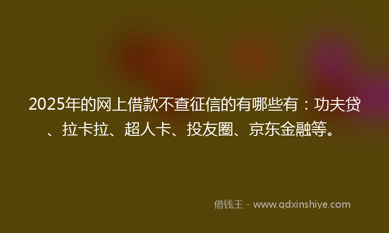 2025年的网上借款不查征信的有哪些有：功夫贷、拉卡拉、超人卡、投友圈、京东金融等。