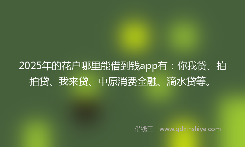 2025年的花户哪里能借到钱app有：你我贷、拍拍贷、我来贷、中原消费金融、滴水贷等。