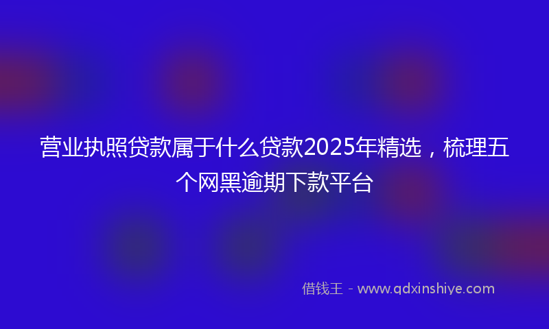 营业执照贷款属于什么贷款2025年精选，梳理五个网黑逾期下款平台