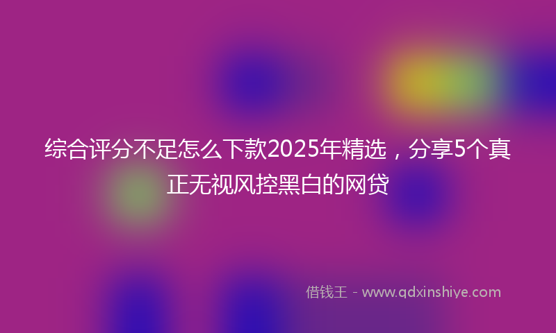 综合评分不足怎么下款2025年精选，分享5个真正无视风控黑白的网贷