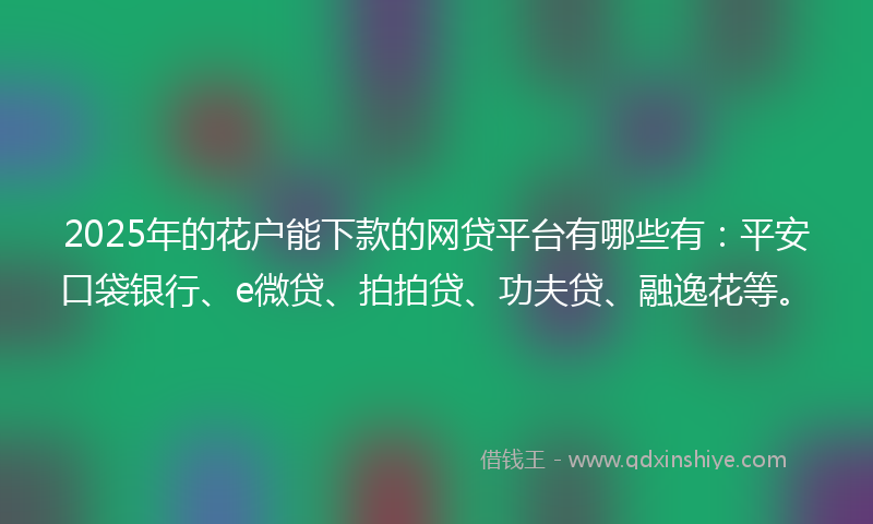 2025年的花户能下款的网贷平台有哪些有：平安口袋银行、e微贷、拍拍贷、功夫贷、融逸花等。