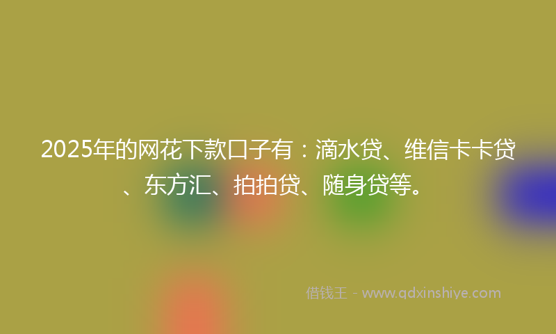 2025年的网花下款口子有：滴水贷、维信卡卡贷、东方汇、拍拍贷、随身贷等。